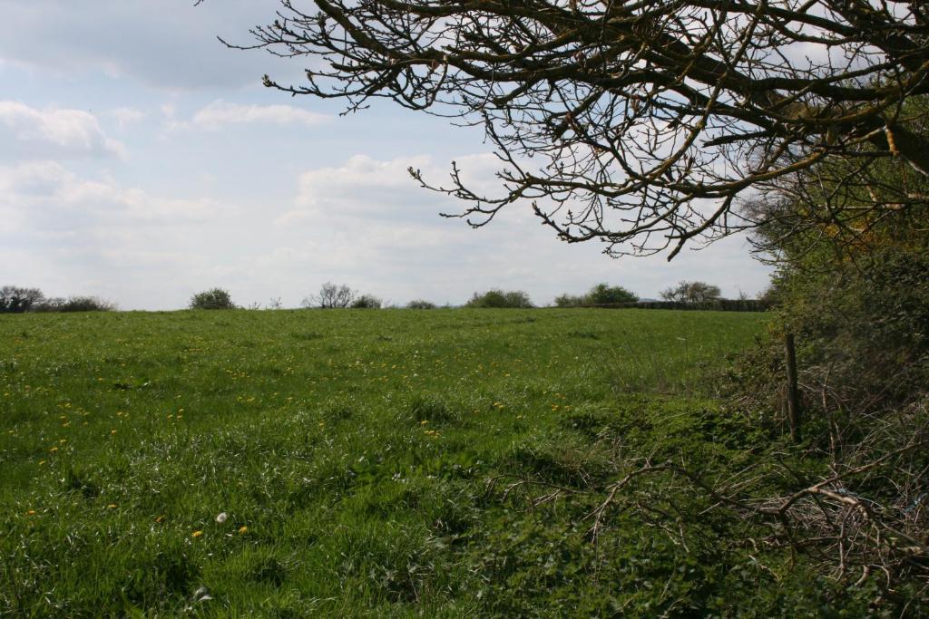 Отель Moseley Farm Вустер Экстерьер фото